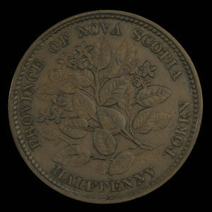 Canada, Province of Nova Scotia, 1/2 penny : 1856