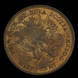 Canada, Province of Nova Scotia, 1/2 penny : 1856