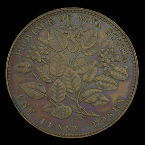 Canada, Province of Nova Scotia, 1 penny : 1856