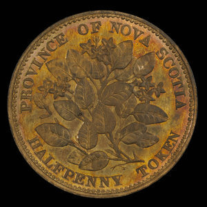 Canada, Province of Nova Scotia, 1/2 penny : 1856