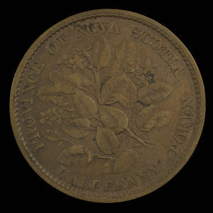 Canada, Province of Nova Scotia, 1/2 penny : 1856