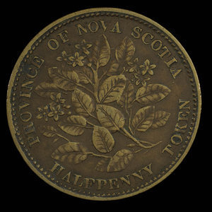 Canada, Province of Nova Scotia, 1/2 penny : 1856