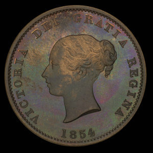 Canada, Province of New Brunswick, 1/2 penny : 1854