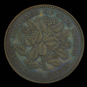 Canada, Province of Nova Scotia, 1/2 penny : 1856