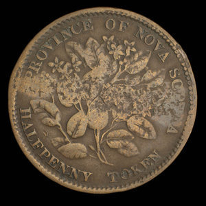 Canada, Province of Nova Scotia, 1/2 penny : 1856