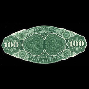 Canada, Banque d'Hochelaga, 100 piastres : November 1, 1875