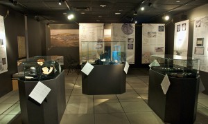 Exhibition cases