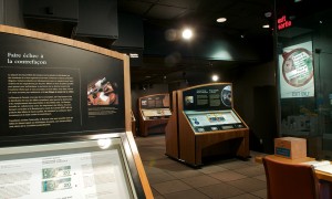 Exhibition displays