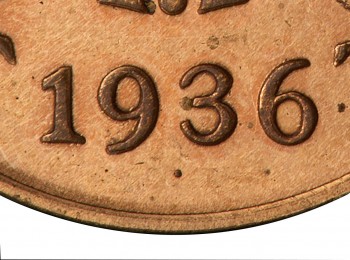 penny close up