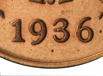 penny close up