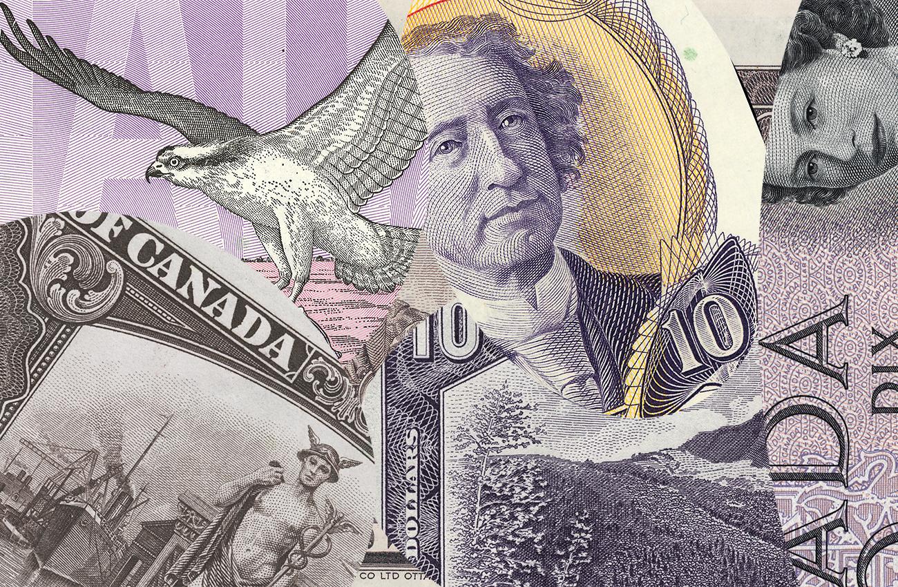 collage of Canadian $10 bills collage of Canadian $10 bills
