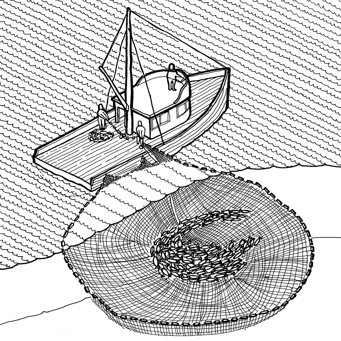 illustration of a fishing boat drawing in a net