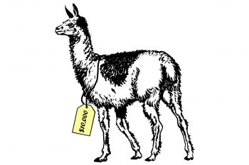 Illustration of a llama with a price tag of $10,000 around its neck.