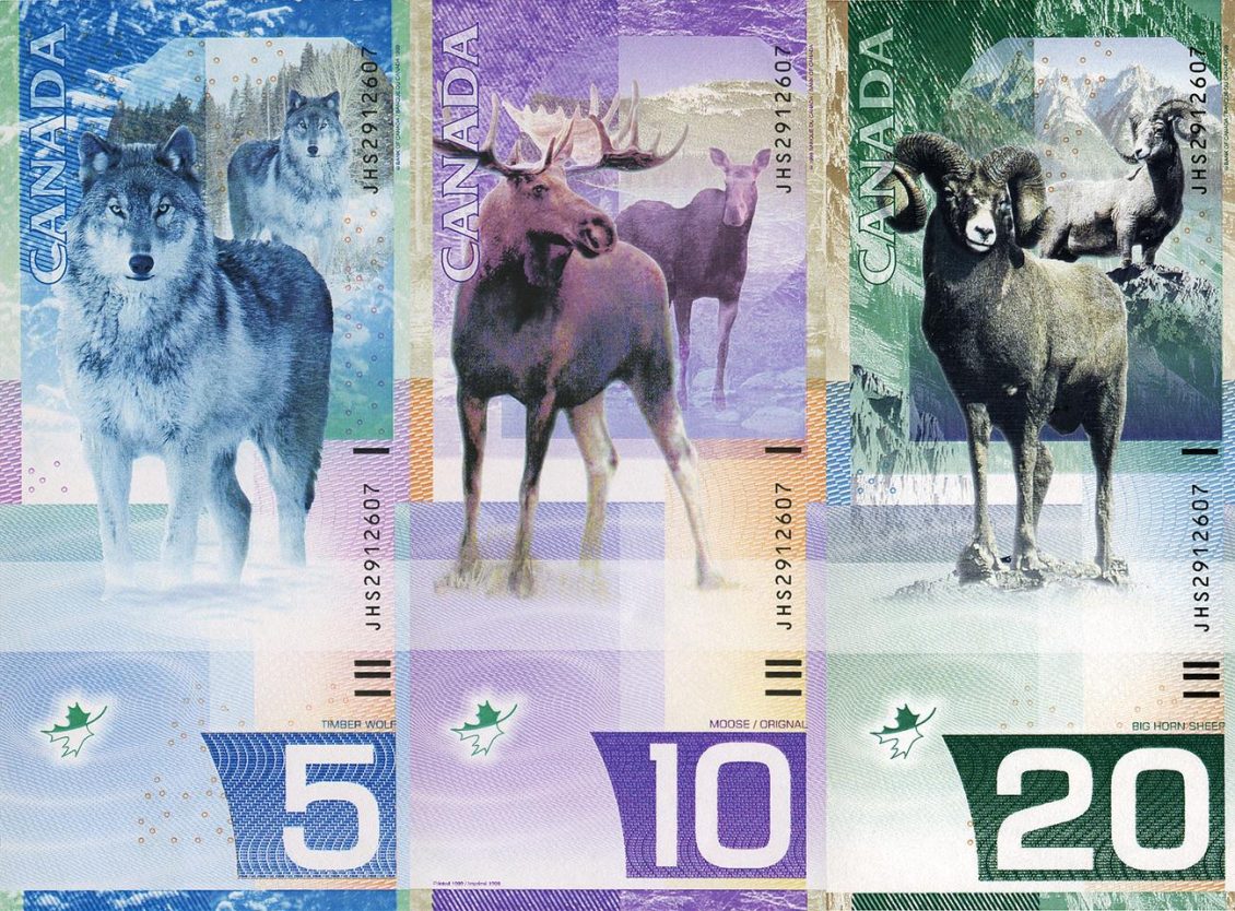 Three vertical bank notes featuring a wolf, a moose and a mountain goat.