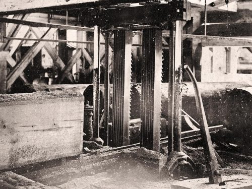 Photo, black and white, two sets of 7 vertical sawblades about to cut into a log of 1 metre diameter.