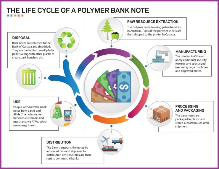 Circle diagram showing flow of six steps of money in a polymer bank note life cycle assessment.