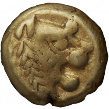 Coin, gold-coloured, thick, roughly round with profile of a lion’s head in high relief.