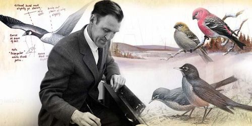 Collage, man at an easel, paintings of birds and a goose illustration with comments written on it.