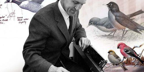 Collage, man at an easel, paintings of birds and a goose illustration with comments written on it.