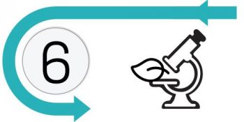 #6 – Illustration of a microscope and a leaf.