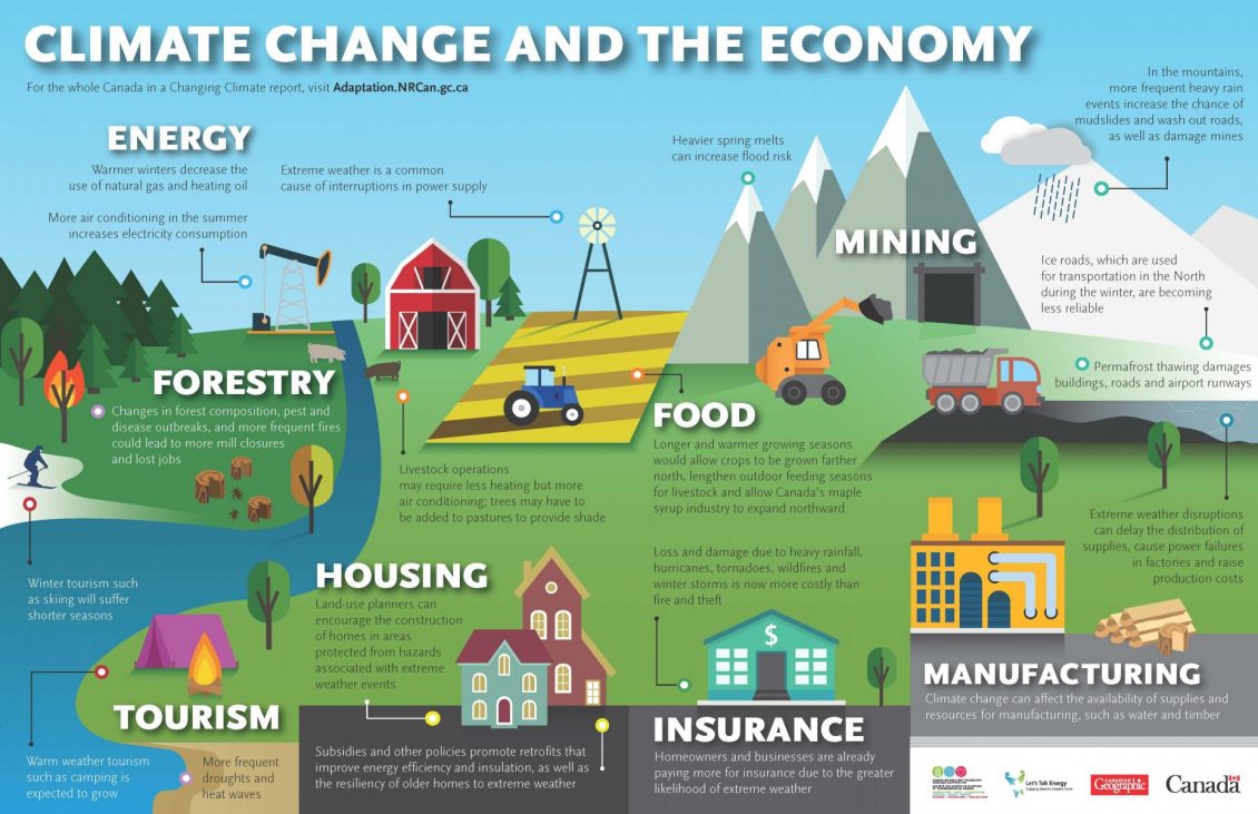 Infographic: Fields, forest and mountains with illustrations of extraction industries, farming, tourism, the domestic economy and their interrelated impacts.