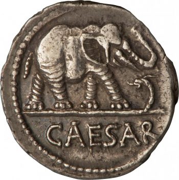 Coin, ancient, roughly round, showing the profile of an elephant, trunk raised, stepping on a serpent.