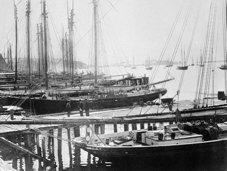 Photo, black and white, old, row of sailing ships in a port.