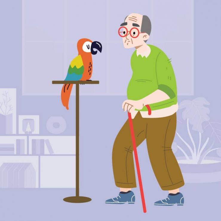 An elderly white man walking with a cane and a pet parrot.