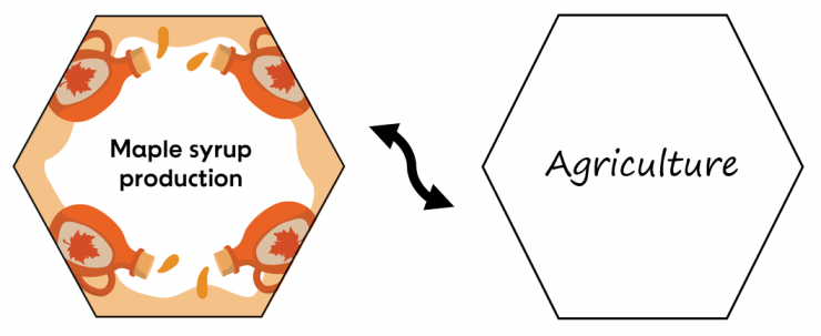 Two sides of hexagon tile are shown: on one side “Maple syrup production” and the other “Agriculture”.