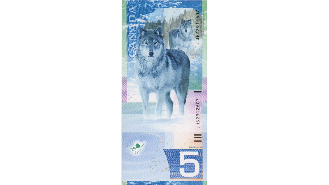 Bank note model, vertical, wolf standing in snow before snow-covered forest.
