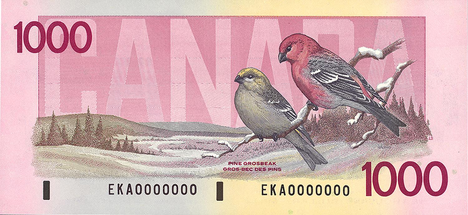 The back of the 1988 1000-dollar bank note featuring two pine grosbeak birds.
